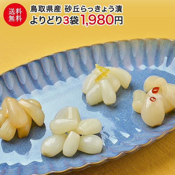 らっきょう 国産 鳥取県産 砂丘らっきょう漬け よりどり3袋 送料無料 ラッキョウ ご飯のお供 Buyee Buyee 提供一站式最全面最專業現地yahoo Japan拍賣代bid代拍代購服務 Bot Online