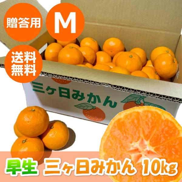 三ヶ日早生みかん Ｍsize 10kg みかん 三ケ日みかん お歳暮 早生 Mサイズ(10kg) : 三ケ日みかん