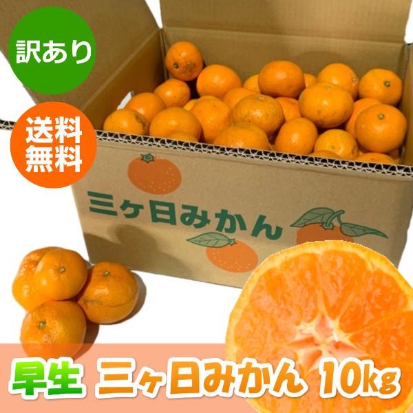 みかん 三ケ日みかん 早生 訳あり (不揃い・キズ)(10kg) :wase-R-10kg:三ケ日みかん - 通販 - Yahoo!ショッピング みかん 三ケ日みかん 早生 訳あり (不揃い・キズ)(10kg) :wase-R-10kg:三ケ日みかん - 通販 - Yahoo!ショッピング