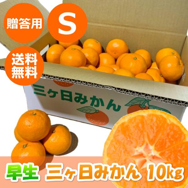 みかん 三ケ日みかん お歳暮 早生 S サイズ(10kg) : 三ケ日みかん