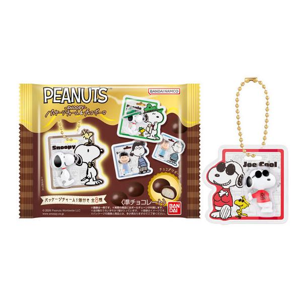 【予約商品】PEANUTS -SNOOPY- パッケージチャーム&amp;チョコボーロ 10個入りBOX