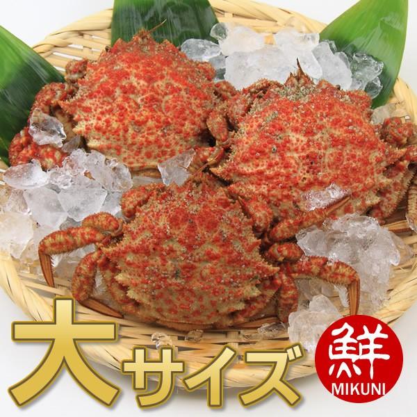春の味覚 青森産トゲクリガニ 大サイズ メス３杯 Tg 01 みくに商店 通販 Yahoo ショッピング