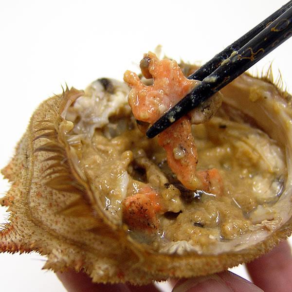 春の味覚 青森産トゲクリガニ 中サイズ メス４杯 Buyee Buyee 日本の通販商品 オークションの代理入札 代理購入