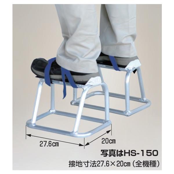 HS-210 nbNX nCV[ A~Q^@21 HS-210