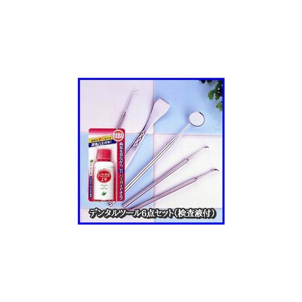 オーラルケア 087 003 2865 マイキーズ デンタルツール6点セット 検査液付