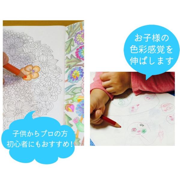 油性色鉛筆 160色 セット プロ おまけ付き 塗り絵やプレゼント用にも最適 漫画 大人の塗り絵 絵師 学生 美大生 プロ仕様 Buyee 日本代购平台 产品购物网站大全 Buyee一站式代购 Bot Online