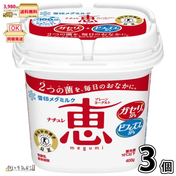 ナチュレ 恵 megumi 3個 【3980円対象】 【冷蔵同梱】