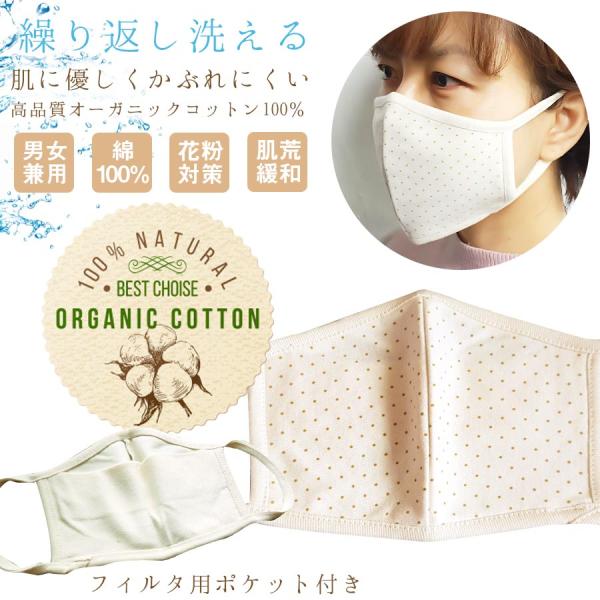 肌に優しいオーガニックコットン100％立体マスク大人用マスク 6枚までメール便可 白フィルタポケット 綿 安い