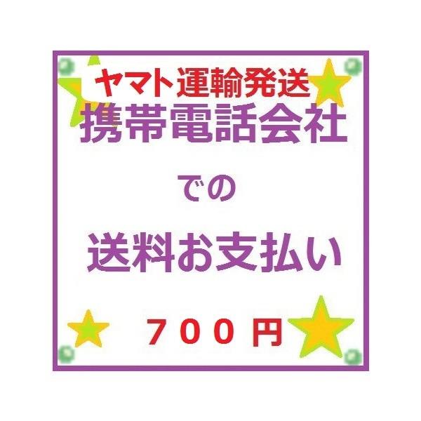 PayPayEgѓdbЁESz|CgAx̏ꍇǉ VOO~