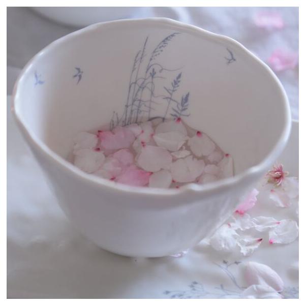Myriam ait amar ceramics Bol Envolee FENOUIL ボウル 丼 ウイキョウ ツバメ ブルー フレンチ 磁器 フランス ハンドメイド インテリア
