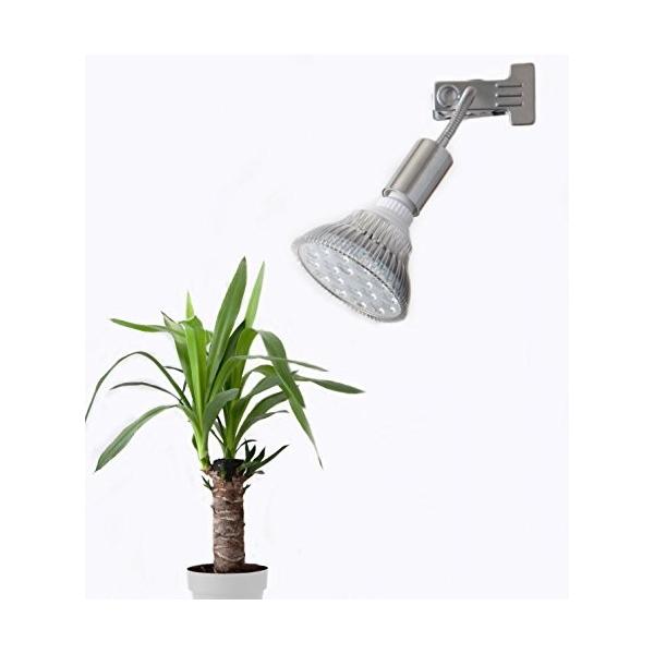 冬バーゲン 特別送料無料 Led Plant Light 18w 植物育成使用クリップタイプ水耕栽培家庭菜園水草栽培観葉植物 新作入荷