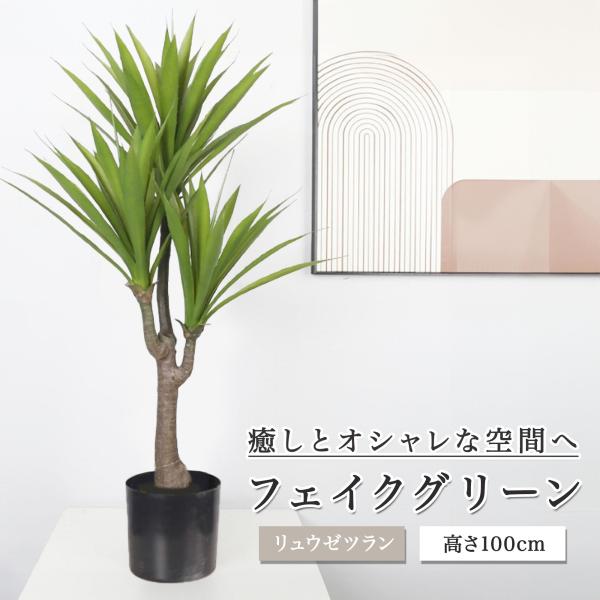 million_agavetree-100