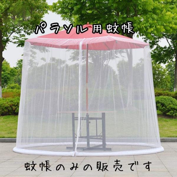 p\p AEghA ᒠ XL[glbg O Ꮬ bV K[fp\  t[TCY