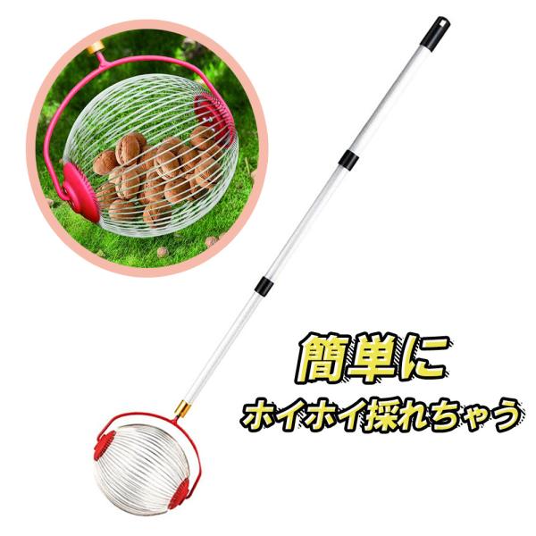 ʎWzC[ {[ [[ St{[ 싅 E ؂̎E {[Elbg (TCYL 勅)