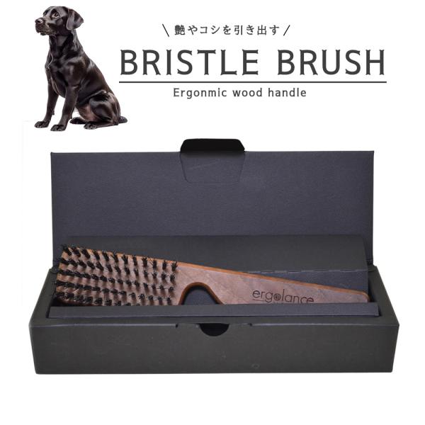 INO ergolance BIOGANCE 獣毛ブラシ 箱付き ドイツ製（フランス企画