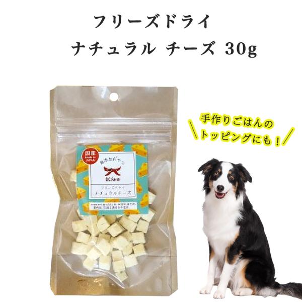 オーシーファーム アイルランド産ナチュラルチーズ フリーズドライ 30g 犬 おやつ