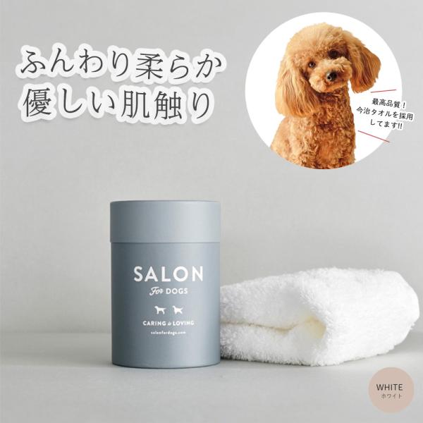 サロンフォードッグス 優しいタオル ホワイト ふんわり柔らか 超長綿 今治タオル ハンドタオル 吸収タオル 34×36cm