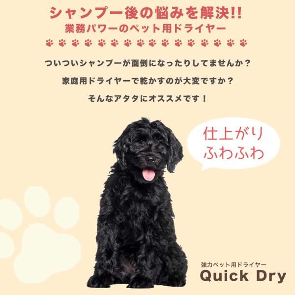 業務用 犬 ドライヤー クイックドライ 風量 温度連続調節 安心の日本規格 Pse適合商品 ペットドライヤー 中型犬 大型犬 多頭飼いに最適 黒 Buyee Buyee Japanese Proxy Service Buy From Japan Bot Online