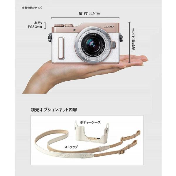 Gf10 ダブルレンズキット 標準ズームレンズ 単焦点レンズ付属 Millionaire Dc Gf10w パナソニック カメラ ミラーレス一眼カメラ Gf10 ルミックス 20200202203656 00048 Millionaire Shop ホワイト