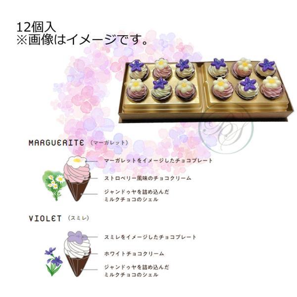 ル ペパン パルテールドゥショコラ ボックス12個入り ※包装不可