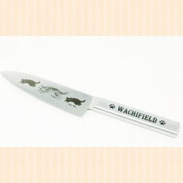 L̃yeBiCt@킿ӂ[ǁ@L̃_@ƂєL_