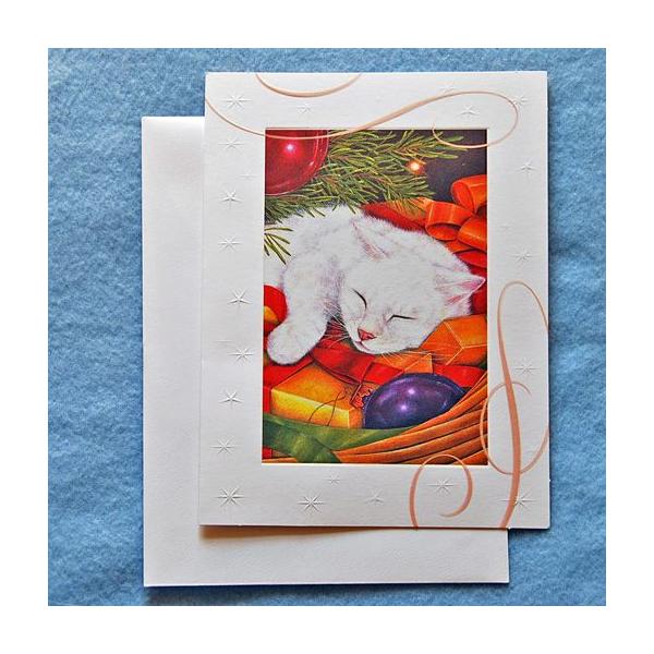 L̃NX}XJ[h@AE[eB}[@蕨Ɩ@@