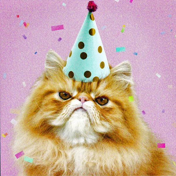 �L�̃o�[�X�f�[�J�[�h�@�t���M���o�[�X�f�[