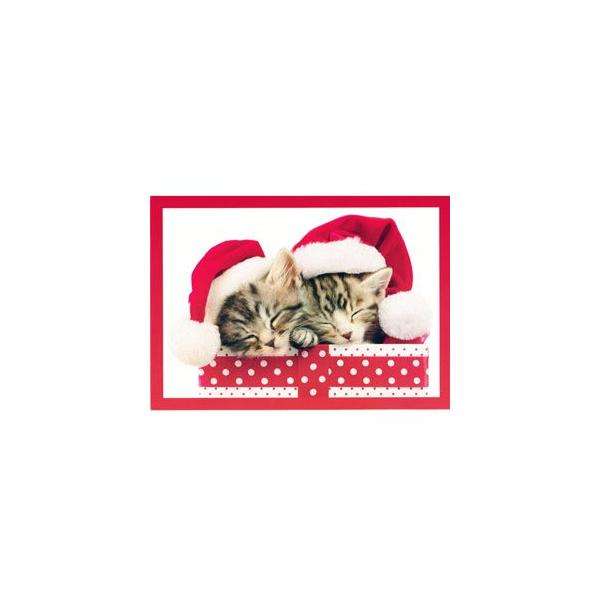 クリスマス カード 猫の人気商品・通販・価格比較 - 価格.com