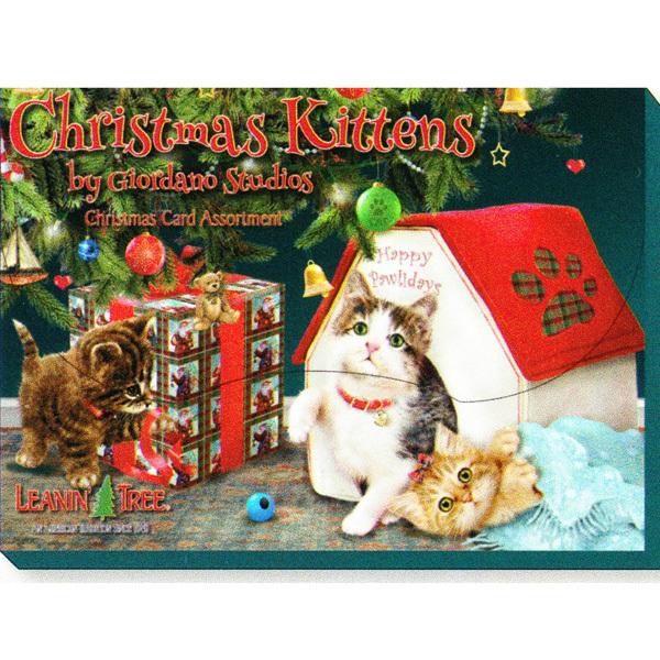 L̃NX}XJ[hEA\[g{bNX@W_[mEX^WI@NX}XLgY