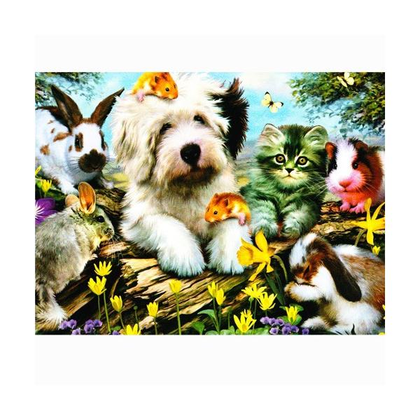 LƓ̌J[h@n[hEr\@t@[[EtY