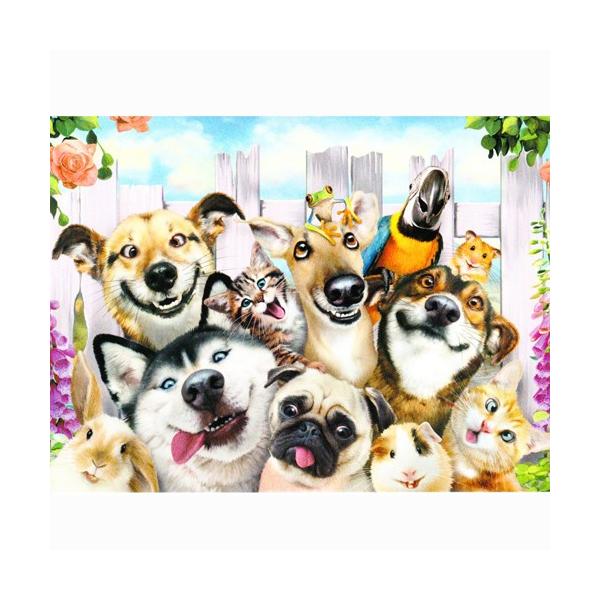 n[hEr\̃o[Xf[J[h@ybgZtB[@LG݁@G