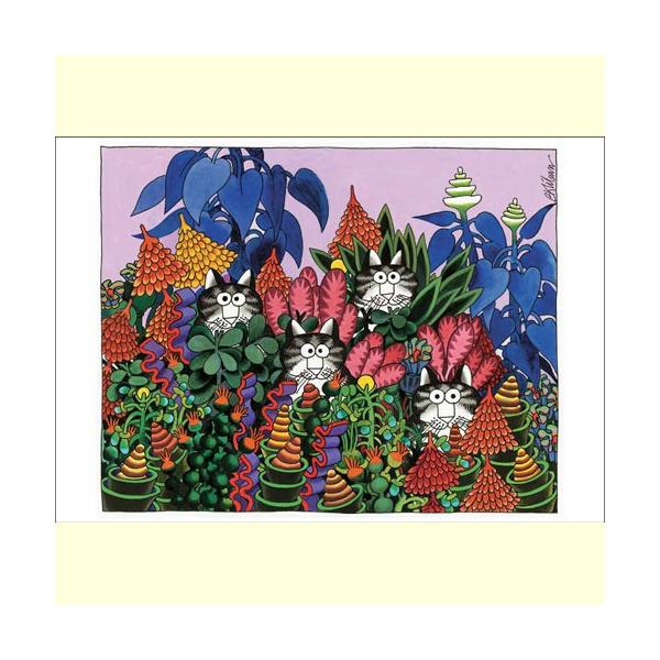 L̃m[gJ[h@NoLbg@WOLbc