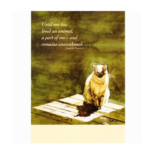 L̂݃J[h@f{EVuA@z܂̒