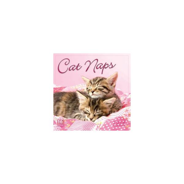 猫 カレンダーの人気商品 通販 価格比較 価格 Com