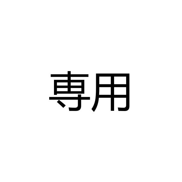 専用ページ