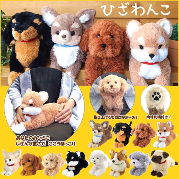 ひざわんこ Sサイズ ぬいぐるみ ひざワンコ いぬ 犬 おもちゃ 癒し リアル 犬グッズ いぬグッズ イヌ雑貨 いぬ雑貨 子犬 動物 介護用にも ギフト プレゼント :tb4920361042999:mimiy - 通販 - Yahoo!ショッピング ひざわんこ Sサイズ ぬいぐるみ ひざワンコ いぬ 犬 おもちゃ 癒し リアル 犬グッズ いぬグッズ イヌ雑貨 いぬ雑貨 子犬 動物 介護用にも ギフト プレゼント :tb4920361042999:mimiy - 通販 - Yahoo!ショッピング