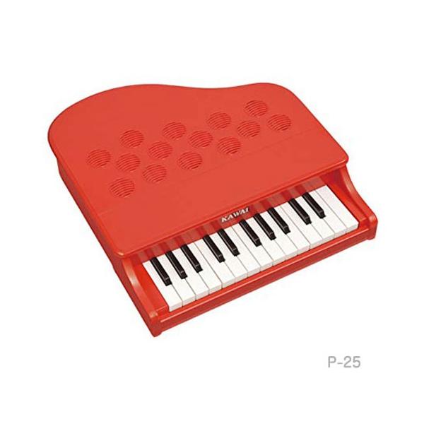 sAm  JC KAWAI ~jsAm gCsAm P-25 |s[bh