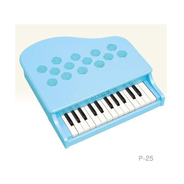 sAm  JC KAWAI ~jsAm gCsAm P-25 ~gu[