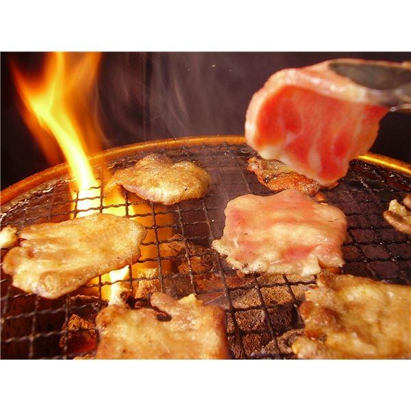 Mina Vaポイント15倍亀山社中 焼肉 qボリュームセット 3 67kg送料無料