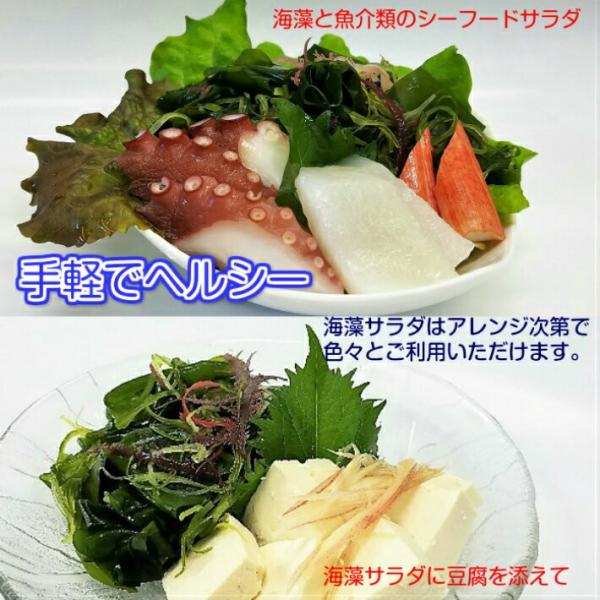 鳴門海藻サラダ 100ｇ 4袋セット ゆうパケット Buyee Buyee Japanese Proxy Service Buy From Japan Bot Online