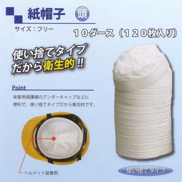 XqiPO_[Xj@PQO@ĝăCi[y h Hp wbg z