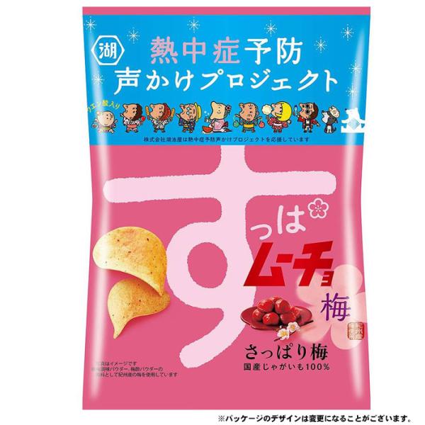 湖池屋 すっぱムーチョ さっぱり梅 55g T4901335124514 コイケヤ すっぱムーチョチップス カラムーチョ ポテトチップス 梅味 梅スナック スナック菓子 爆買