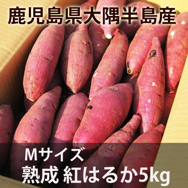 鹿児島のさつまいも「べにはるか」５kg Ｍサイズ   熟成 紅はるか