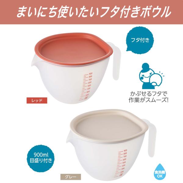 【レア美品】レイノー★ブーゲンビリア他★ボウル　2個 レア美品】レイノー☆ブーゲンビリア他☆ボウル 2個 minami