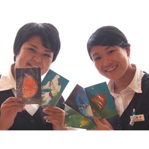 yOEuÐpzC̃|XgJ[h5giBj (A~nM/C\oeO/^cmIgVS/qQ_S/_SEI)