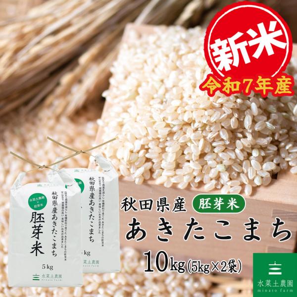 胚芽米 胚芽の大きな胚芽米