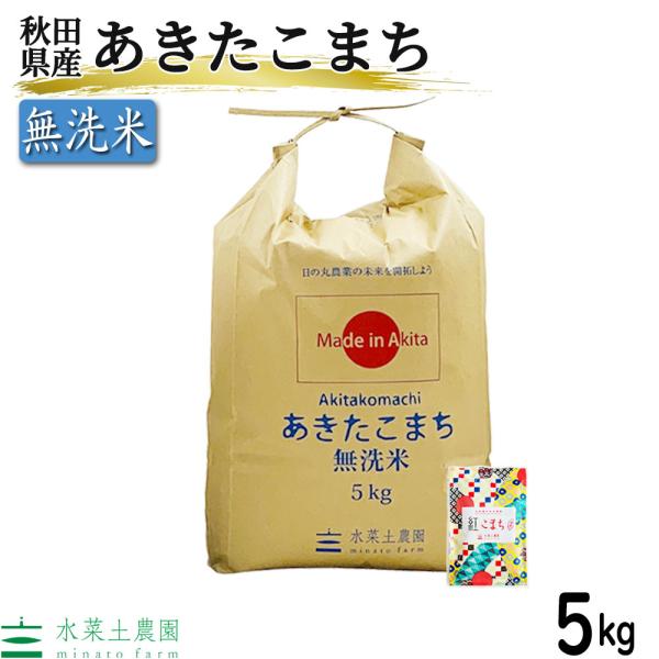 米 お米 米5kg 無洗米 あきたこまち 令和4年産 秋田県産 農家直送 古代米お試し袋付き