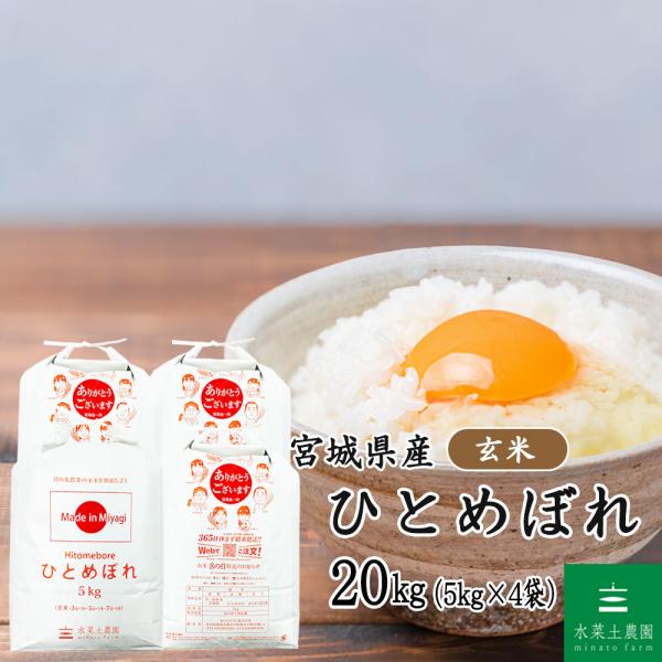 米 お米 ひとめぼれ 玄米 20kg （5kg×4袋） 宮城県産（選べるプレゼント付き）令和7年産