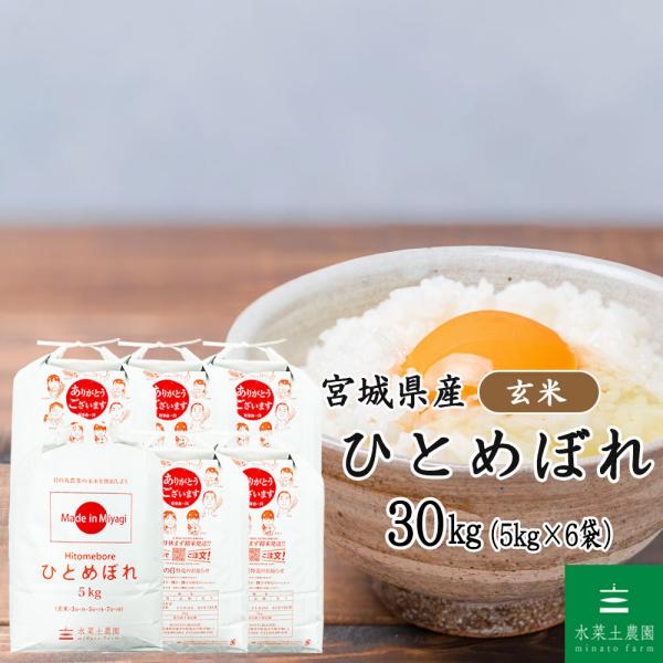 お米 米 ひとめぼれ 玄米 30kg（5kg×6袋）宮城県産（選べるプレゼント付き） 令和7年産