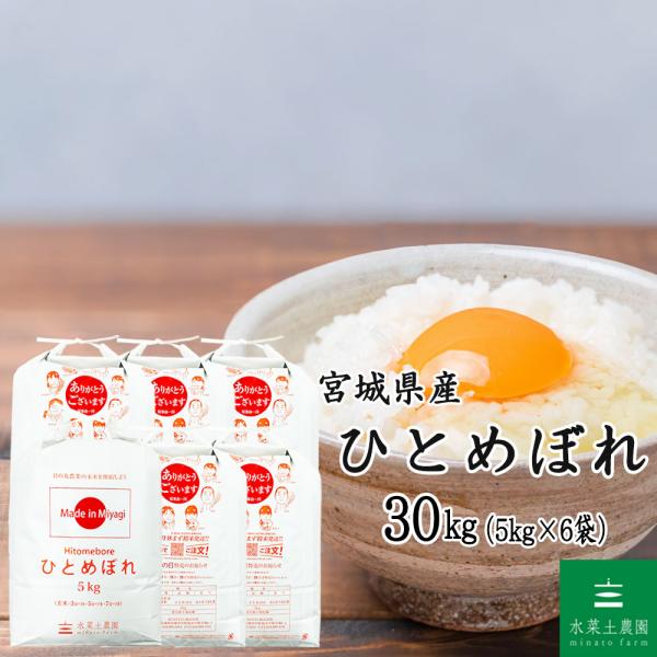 【宮城県産】お米 米  ひとめぼれ 精米 30kg （5kg×6袋）白米（選べるプレゼント付き） 令和7年産